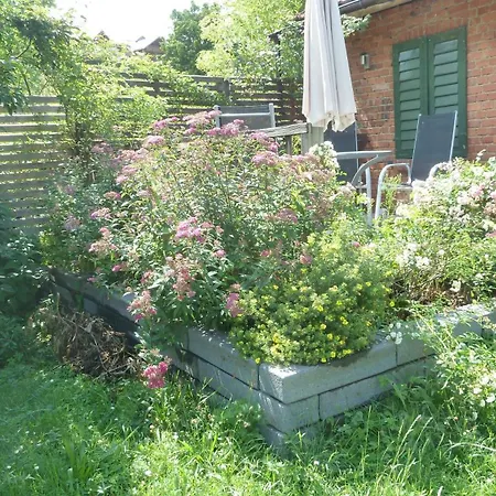 Apartment Lotti